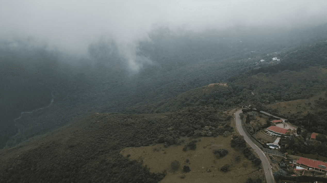 Video of The Eden
